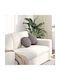 vidaXL Μαξιλάρι Καναπέ Taupe 30x30εκ.