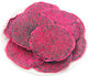 Dried Dragon Fruit 70gr