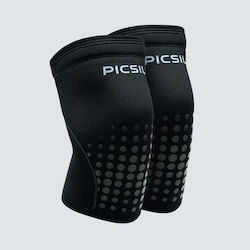 Picsil Neoboost