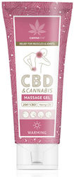 Cannaline Cbd Warming Gel Cannaline Cbd Warming Gel