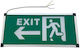 Leuchtendes Warnschild Notausgang Linksdrehender Pfeil Richtung 220V 33x14cm Grünes