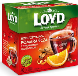 Loyd Warming Orange Flavor Tea Cinnamon Cloves Pyramid Tea Bags 20 Pcs