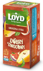 Loyd Tea Hot Cold Pear & Fig 20x2.5g