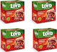 Loyd Warming Tea Cherry Cocoa Chili Flavor 80 Pyramid Bags
