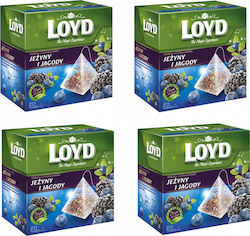 Loyd Loyd Bio-Tee Blaubeere Brombeere 80 Pyramid Taschen Loyd Loyd Bio-Tee Blaubeere Brombeere 80 Pyramid Taschen