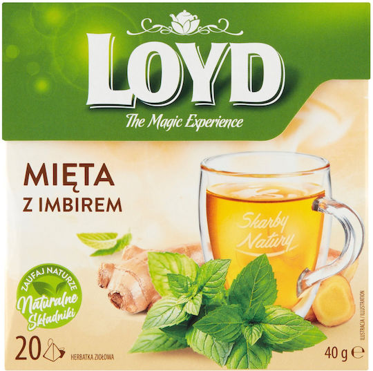 Loyd Herbal Tea Loyd Mint Ginger 20 Pyramid Bags