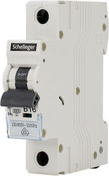 Side Switch 6ka 1p C 20a Schelinger A02-g8-1p-c20