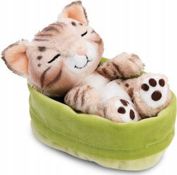 Nici Pisicuță 12 cm.