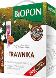Herbst-Düngemittel Rasen Granulate Pappgriff 3 Kg