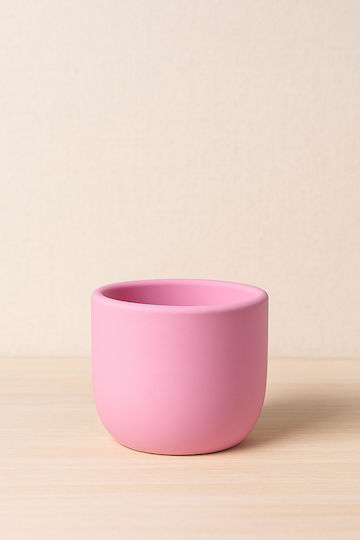 Kunststoff Vase Rosa 8xU9cm