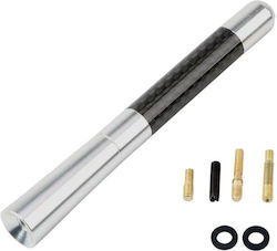 Car Antenna Roof Threaded in Silver Color