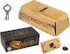 Gold Bar Money Box
