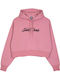 Cropped Women's Sweatshirt Hooded Pink
