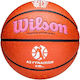 Wilson Evo Nxt Μπάλα Μπάσκετ Indoor