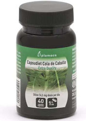 Full Health Plameca Horsetail 350mg 40 Vegetable Capsules Full Health Plameca Horsetail 350mg 40 Vegetable Capsules