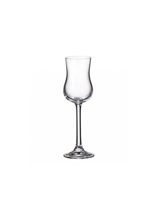 Crystal Bohemia Colibri Set of Liqueur Glasses ...