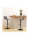 Stool Bar with Back & Adjustable Height Black