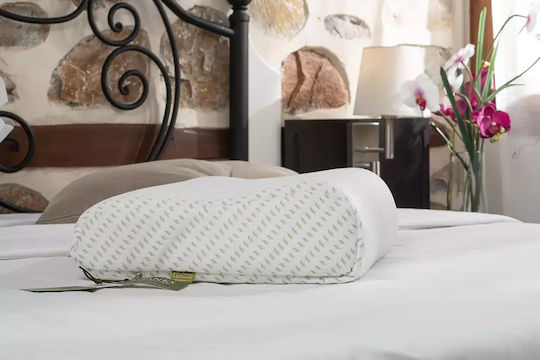 Alpha Foam Deluxe Aloe Vera Memory-Schaum Kopfkissen 36x55x13cm Alpha Foam Deluxe Aloe Vera Memory-Schaum Kopfkissen 36x55x13cm