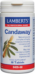 Lamberts Candaway 60 ταμπλέτες