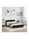 Bed Queen Wooden Black Beech with Slats for Mattress 160x200cm