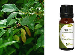 Nature & Body Camphor Essential Oil 10ml