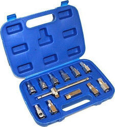 Satra Socket