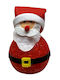 Inflatable Illuminated Santa Claus Decorative