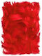 DP Craft Dekoratives Element für DIY-Bastelprojekte Rot