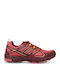 Anatomical Sneakers Burgundy