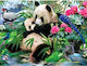 5d Diamond Mosaic Panda 40x30cm