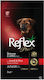 Reflex Plus Junior Medium/Large 3kg Ξηρά Τροφή για Κουτάβια Μεσαίων & Μεγαλόσωμων Φυλών με Αρνί