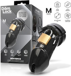 Domlock Penis Cage in Black Color