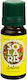 Solaris Plant Αιθέριο Έλαιο Φασκόμηλο 10ml