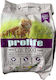 Prolife Dry Food for Adult Cats with Chicken / Meat / Corn 1.5kg