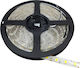 Optonica Ταινία LED 5m