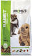 Benelux Rabbit Primus Rabbits Benelux 5400351024529