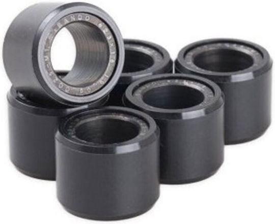 Bando Centrifugal Weight Set 6 Pieces Dimensions 18x14 Weight 10.0g