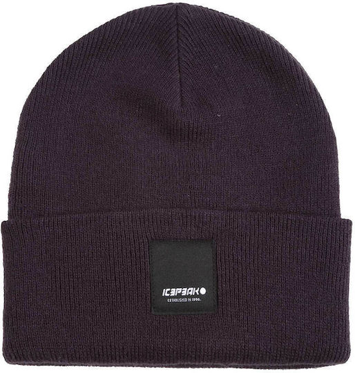 Harcourt Beanie Unisex Beanie Knitted in Purple color