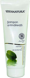 Vivanatura Shampoos gegen Schuppen 250ml Vivanatura Shampoos gegen Schuppen 250ml