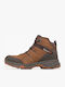 Timberland Ανδρικά Ορειβατικά Μποτάκια Καφέ
