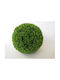 Artificial Angelica Shrub High Quality Pe Material 50cm 2 Pieces