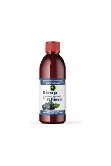 Kalorienarmer Blaubeer-Sirup 500ml Hypericum