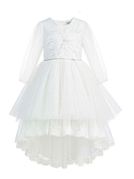 Designer's Cat Rochie De Botez