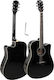 V-tone Semi-Acoustic Guitar Cutaway Black / Spruce