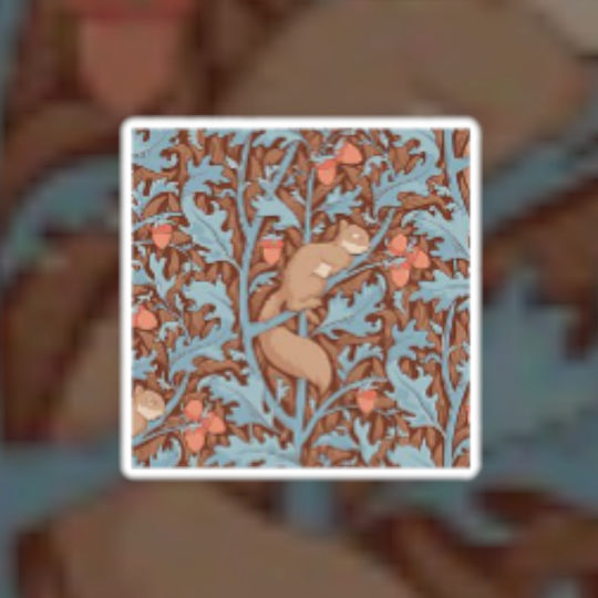 Oxygen Oxygen Kinder Wurfkissen Braun Squirrel