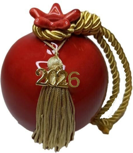 Dream Pomegranate Ceramic