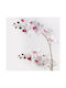 Decorative Potted Orchid White Inart 36x17x65cm