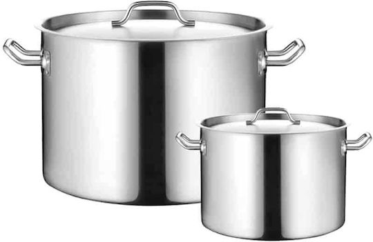 Temno Deep Stainless Steel Pot 8.5L / 26cm