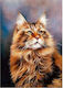 Мозайка Диаманти 5d Котка 40x30см