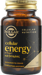Solgar Zellenergie 300mg 14 Kapseln Solgar Zellenergie 300mg 14 Kapseln